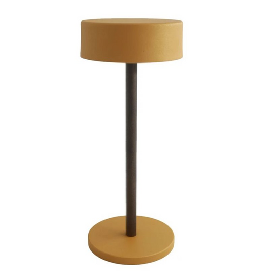 Ally Rechargeable Table Lamp